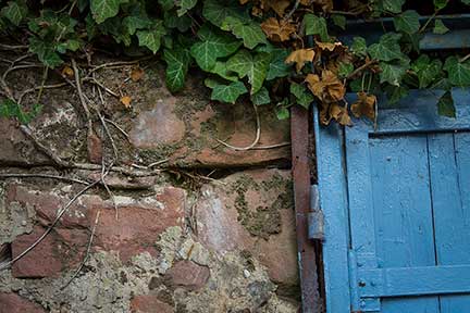 detail of blue door and leaves