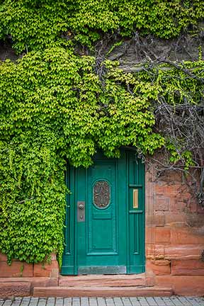 leafy door in heidelberg