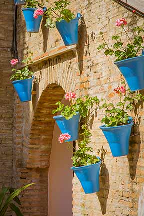 blue pots on brick wall cordoba